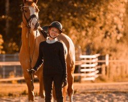 Dressurpferd Potts Foxi (Deutsches Reitpony, 2016)