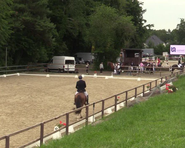 Reitturnier Letmathe 2025