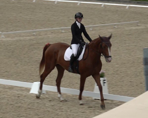 Reitturnier Maienfeld 2025