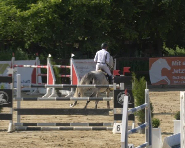 Reitturnier Schönfeld 2025