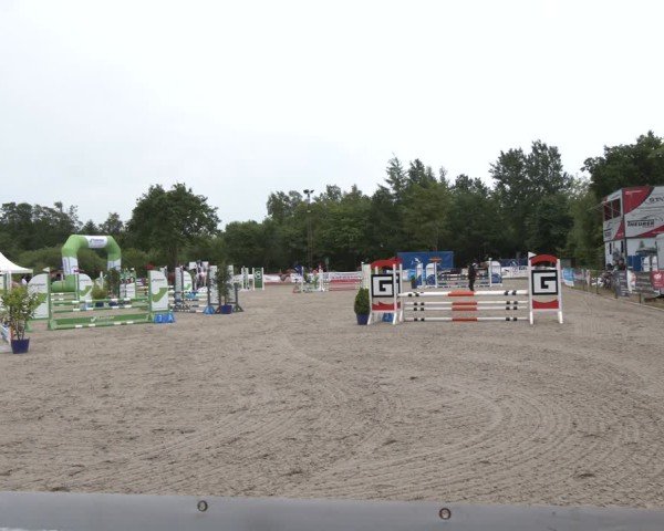 Reitturnier Großenwiehe 2025