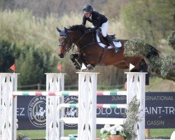 jumper Milancinthe.d. (KWPN (Royal Dutch Sporthorse), 2017, from Impressive VDL)