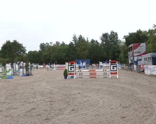 Reitturnier Großenwiehe 2025