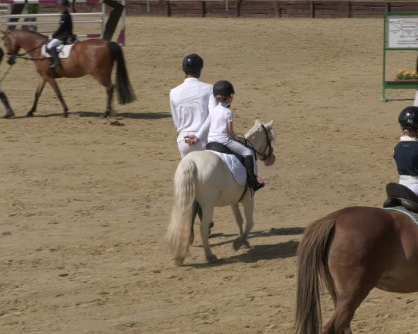 Reitturnier Schönfeld 2025