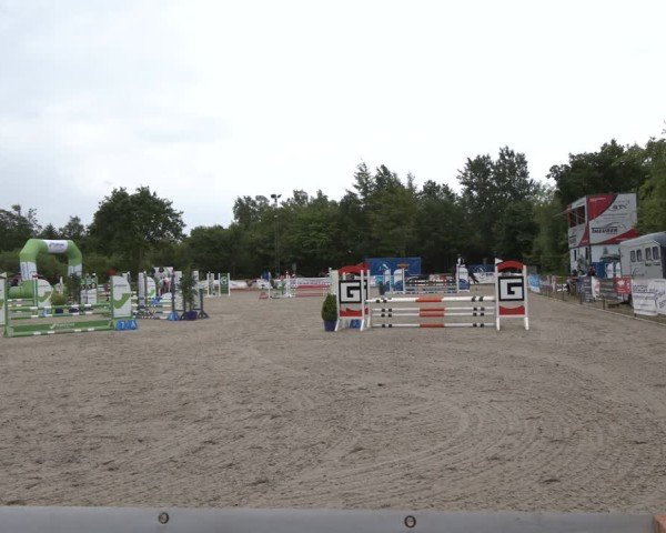 Reitturnier Großenwiehe 2025