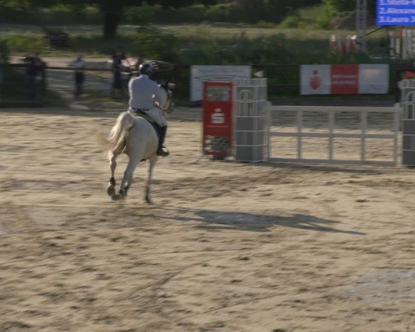 Reitturnier Schönfeld 2025