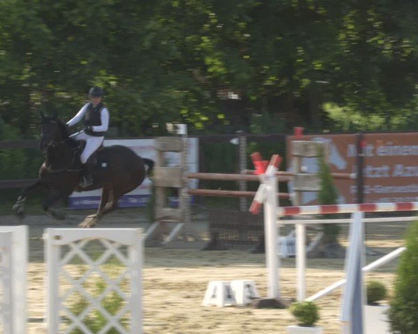 Reitturnier Schönfeld 2025
