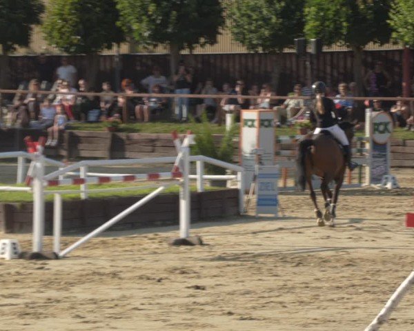Reitturnier Schönfeld 2025