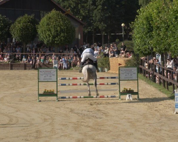 Reitturnier Schönfeld 2025
