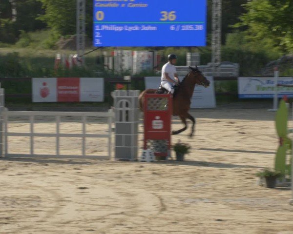 Reitturnier Schönfeld 2025