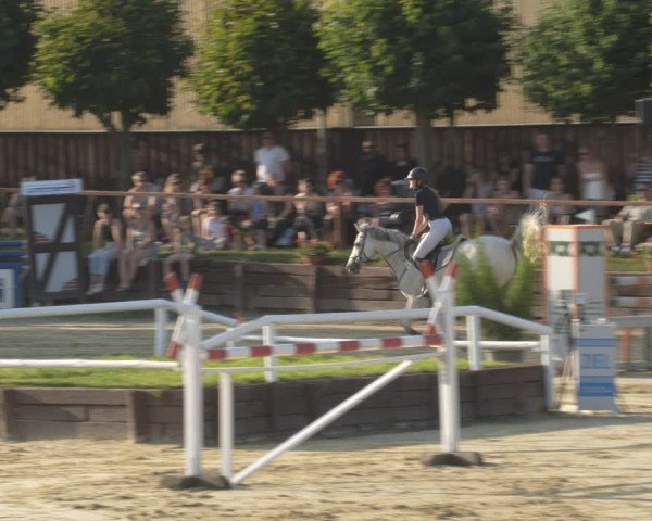 Reitturnier Schönfeld 2025