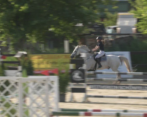 Reitturnier Schönfeld 2025
