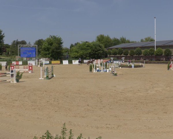Reitturnier Schönfeld 2025