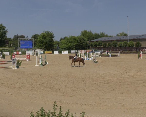 Reitturnier Schönfeld 2025