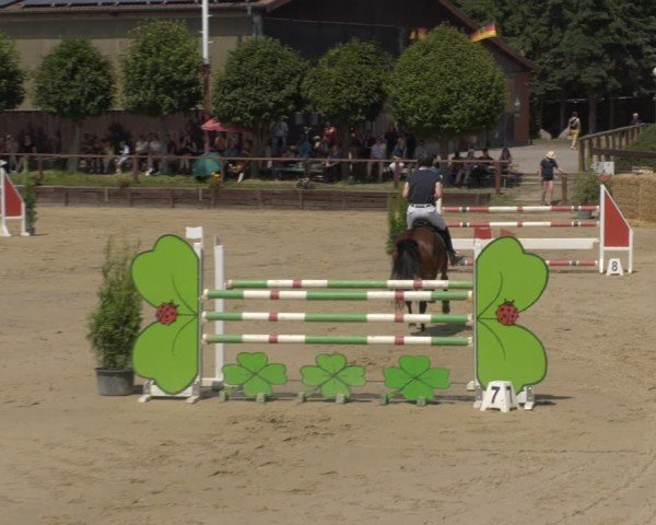 Reitturnier Schönfeld 2025