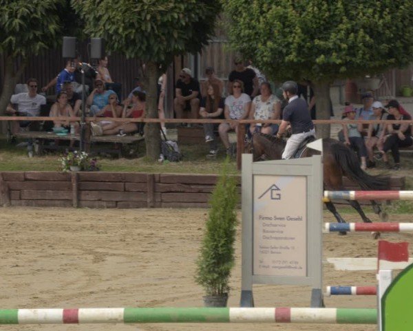 Reitturnier Schönfeld 2025