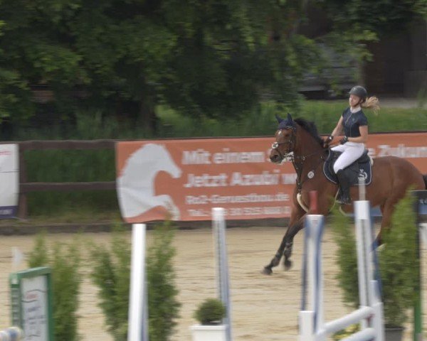 Reitturnier Schönfeld 2025