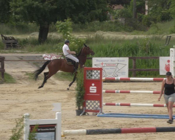Reitturnier Schönfeld 2025