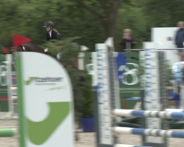 Reitturnier Großenwiehe 2025