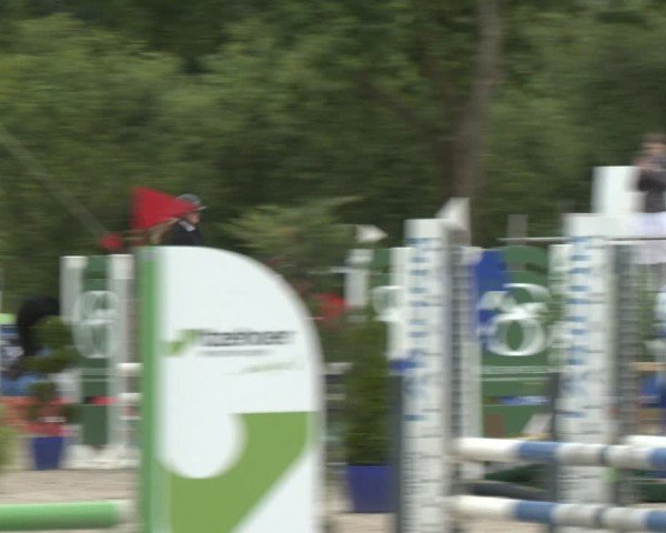 Reitturnier Großenwiehe 2025