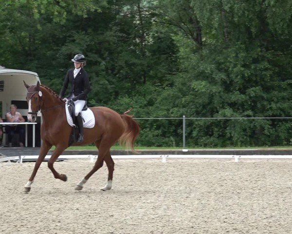 Reitturnier Maienfeld 2025