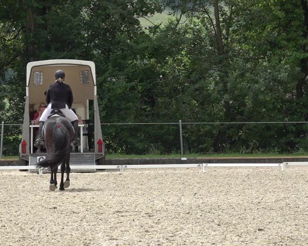 Reitturnier Maienfeld 2025