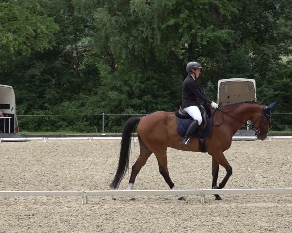 Reitturnier Maienfeld 2025