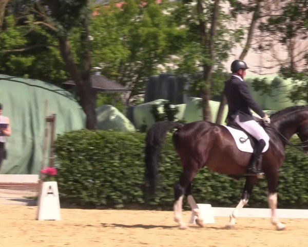 Reitturnier Wingerode 2025