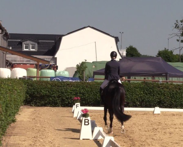 Reitturnier Wingerode 2025