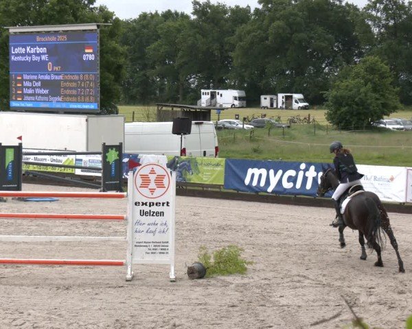 Reitturnier Brockhöfe 2025