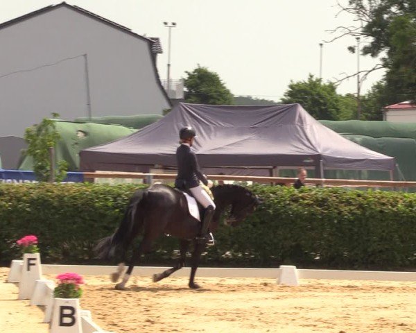 Reitturnier Wingerode 2025