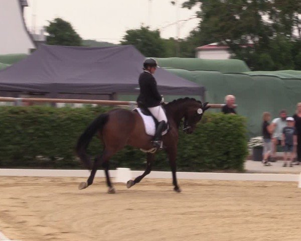Reitturnier Wingerode 2025
