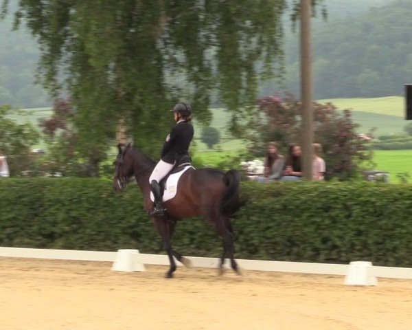Reitturnier Wingerode 2025