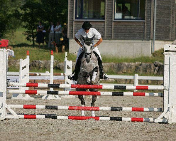 Pferd Fame of Glossy (Trakehner, 2000, von Handryk)