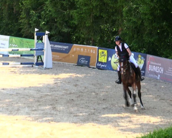 Reitturnier Berching/Opf. 2025