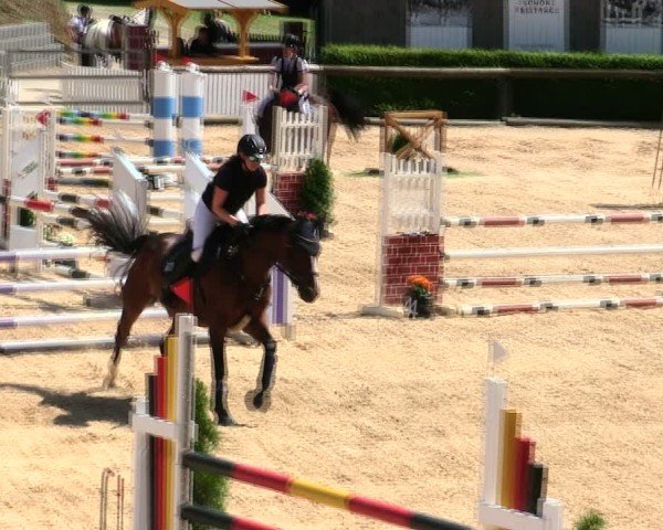 Reitturnier Berching/Opf. 2025
