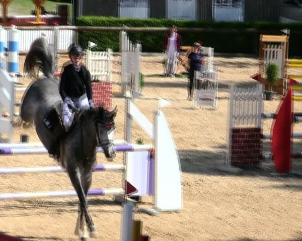 Reitturnier Berching/Opf. 2025