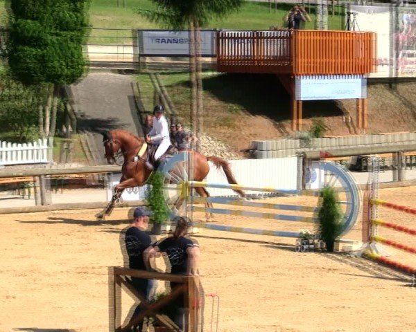 Reitturnier Berching/Opf. 2025