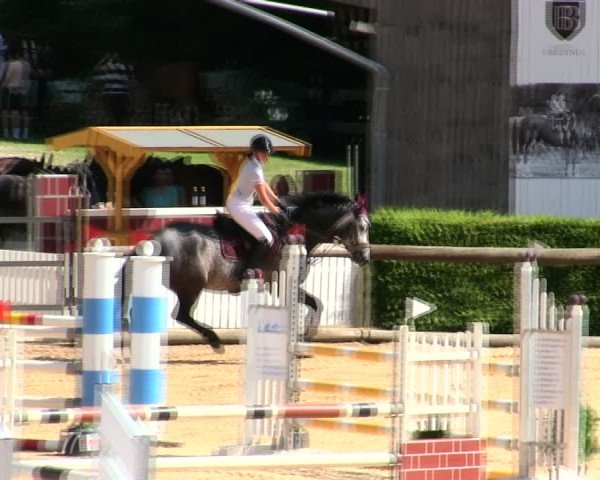 Reitturnier Berching/Opf. 2025