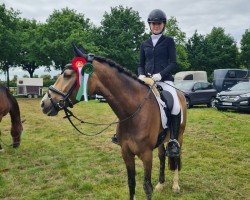 dressage horse Alaska Lotta's Traum (German Riding Pony, 2017, from Adoro)