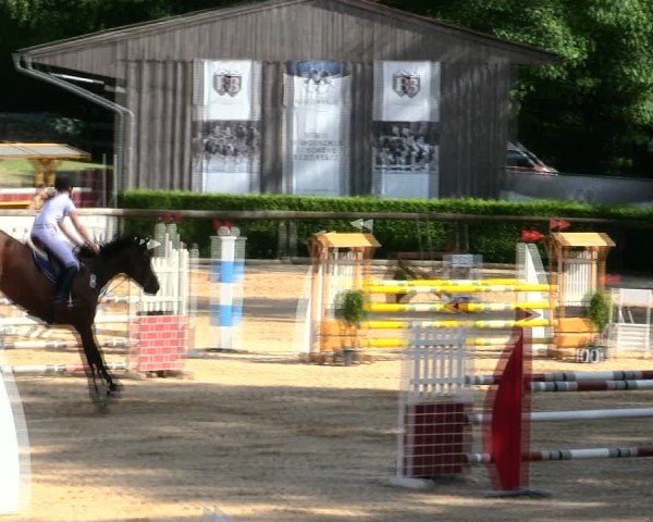 Reitturnier Berching/Opf. 2025