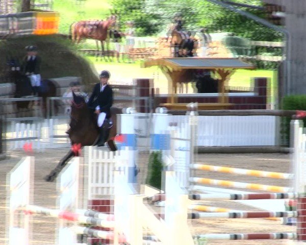 Reitturnier Berching/Opf. 2025