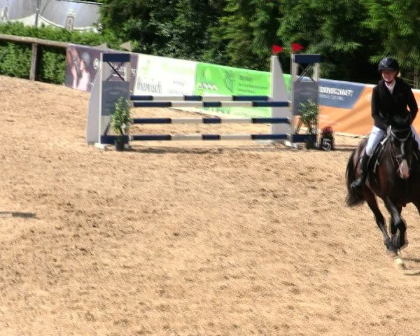 Reitturnier Berching/Opf. 2025