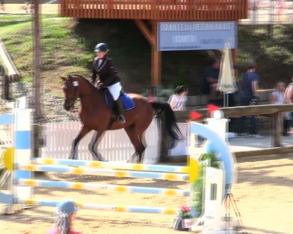 Reitturnier Berching/Opf. 2025