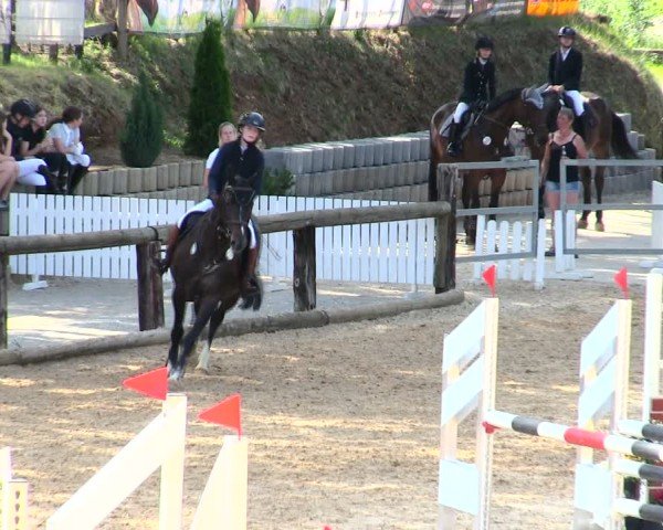 Reitturnier Berching/Opf. 2025