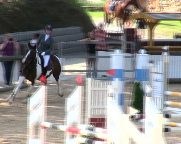 Reitturnier Berching/Opf. 2025