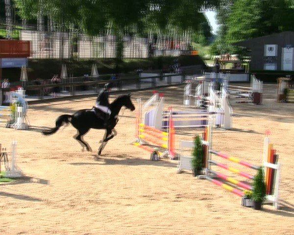 Reitturnier Berching/Opf. 2025