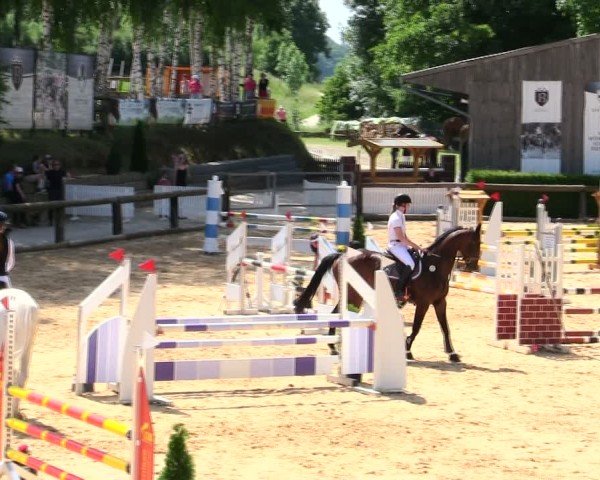 Reitturnier Berching/Opf. 2025