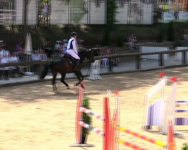 Reitturnier Berching/Opf. 2025