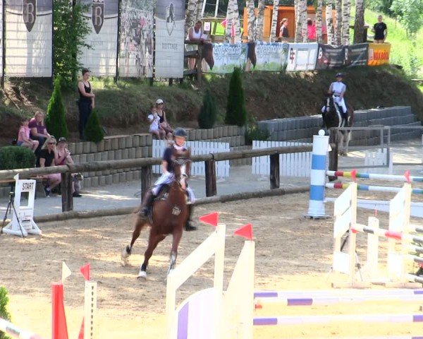 Reitturnier Berching/Opf. 2025